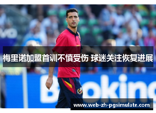 梅里诺加盟首训不慎受伤 球迷关注恢复进展 梅里诺加盟首训不慎受伤 球迷关注恢复进展