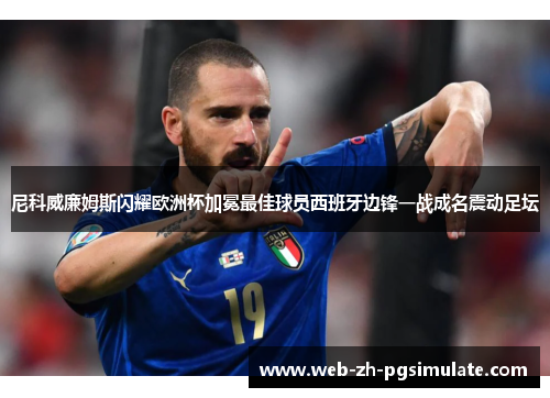 尼科威廉姆斯闪耀欧洲杯加冕最佳球员西班牙边锋一战成名震动足坛